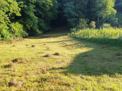 Teren 7000mp Pucioasa - localitatea  Valea Lunga-sat Stubee