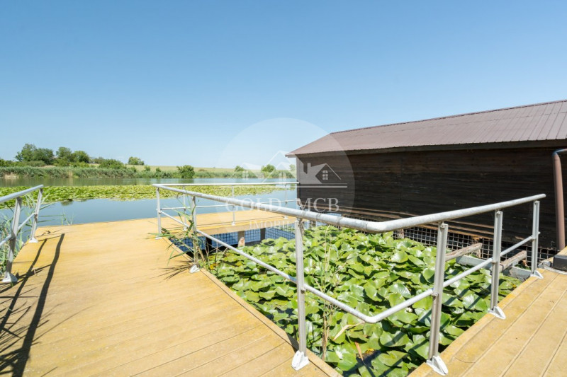 Vila cu piscina pe malul lacului-Ciofliceni-Snagov 