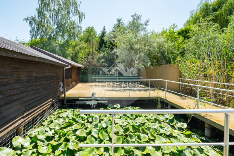 Vila cu piscina pe malul lacului-Ciofliceni-Snagov 