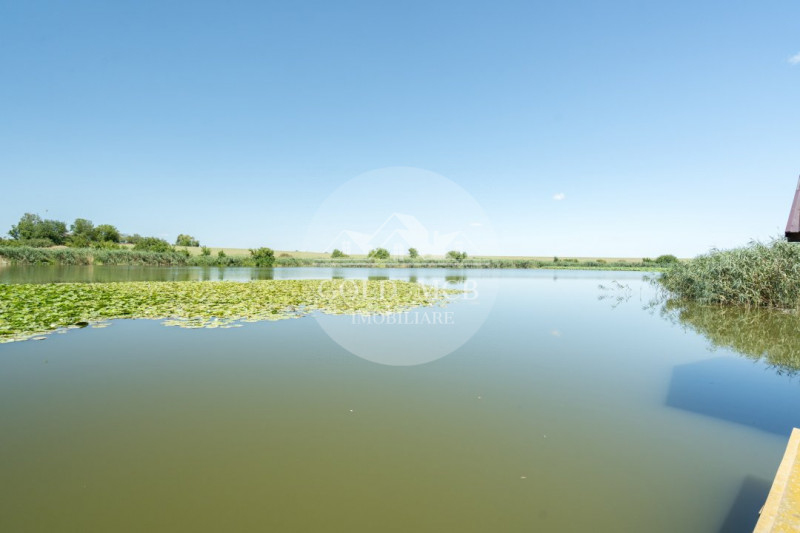 Vila cu piscina pe malul lacului-Ciofliceni-Snagov 