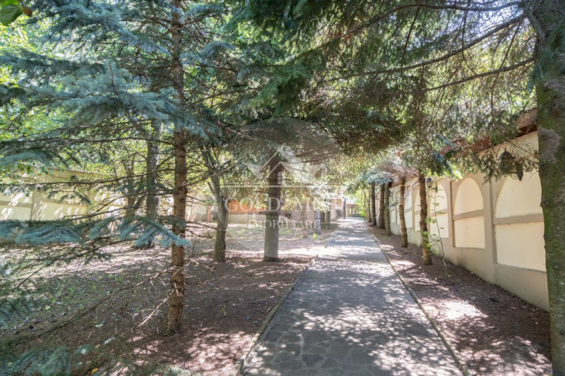 Vila cu piscina pe malul lacului-Snagov -Ciofliceni