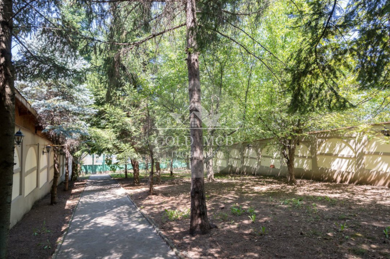 Vila cu piscina pe malul lacului-Snagov -Ciofliceni