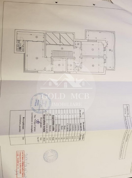 Vila concept modern -proiect industrial