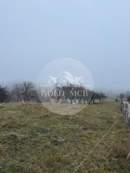 Teren Poiana Marului -Zarnesti -Brasov