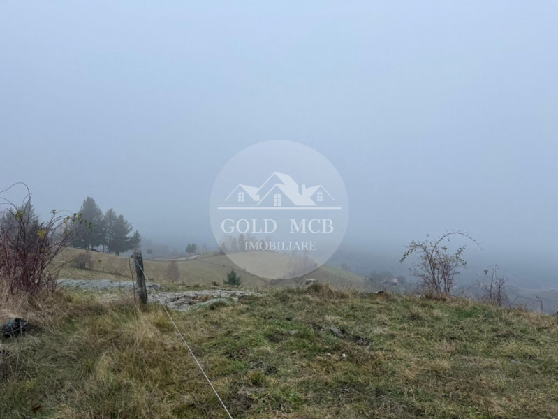 Teren Poiana Marului -Zarnesti -Brasov