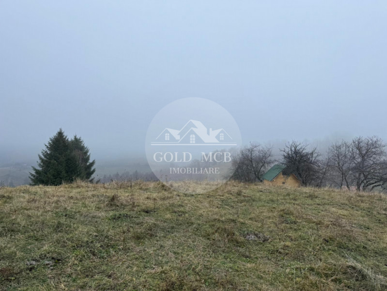 Teren Poiana Marului -Zarnesti -Brasov