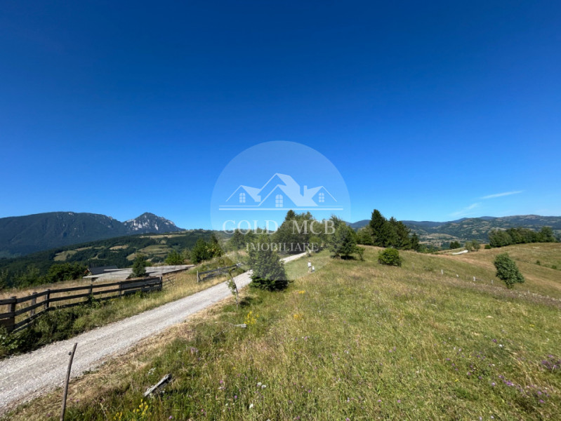 Teren Poiana Marului -Zarnesti -Brasov