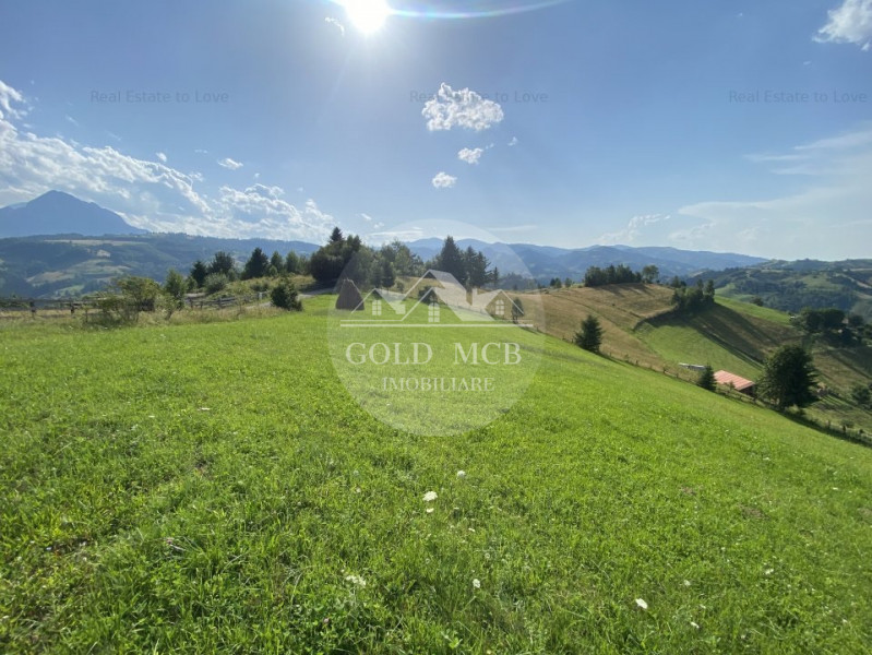 Teren Poiana Marului -Zarnesti -Brasov