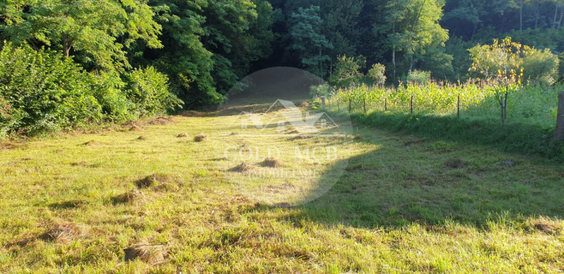 Teren 7000mp Pucioasa - Valea Lunga Gorgota