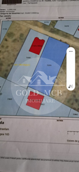 Teren 1000 mp intravilan Tartasesti