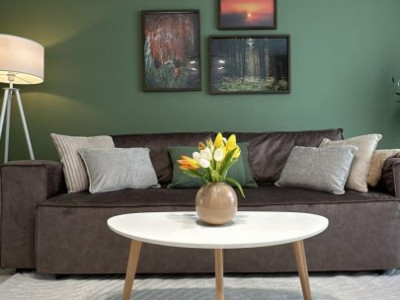 Apartament 2 camere - Onix Park North Residence