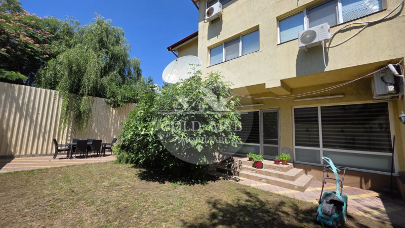 Vila Colentina- Andronache